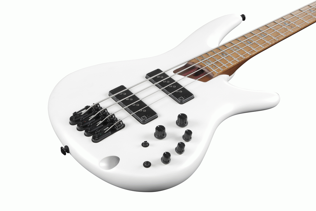 Ibanez sr1100b on sale